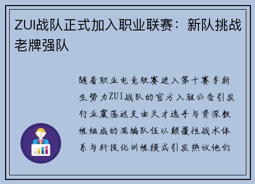 ZUI战队正式加入职业联赛：新队挑战老牌强队